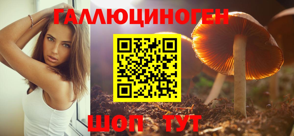 Москва  Псилоцибиновые грибы мухоморы  наркотики  Вход с VPN 